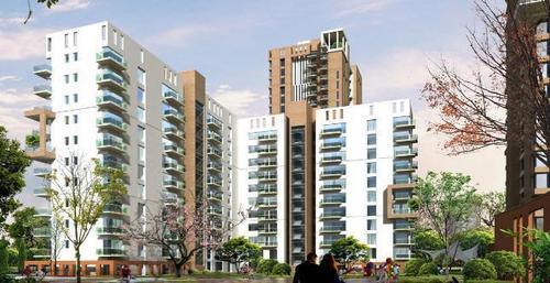 Apartment Rent Pioneer Park Sector 61 Gurgaon